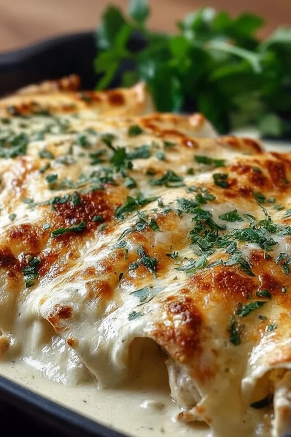 Creamy White Chicken Enchiladas